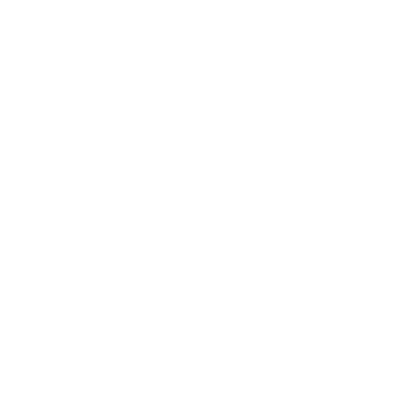 Logo en blanco de VA